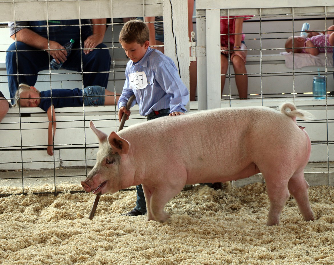 (Photo by CAROLINE LOBSINGER)A young girl crashes out in the grandstands oblivious to the action taking place in the ring at the Bonner County Fair.