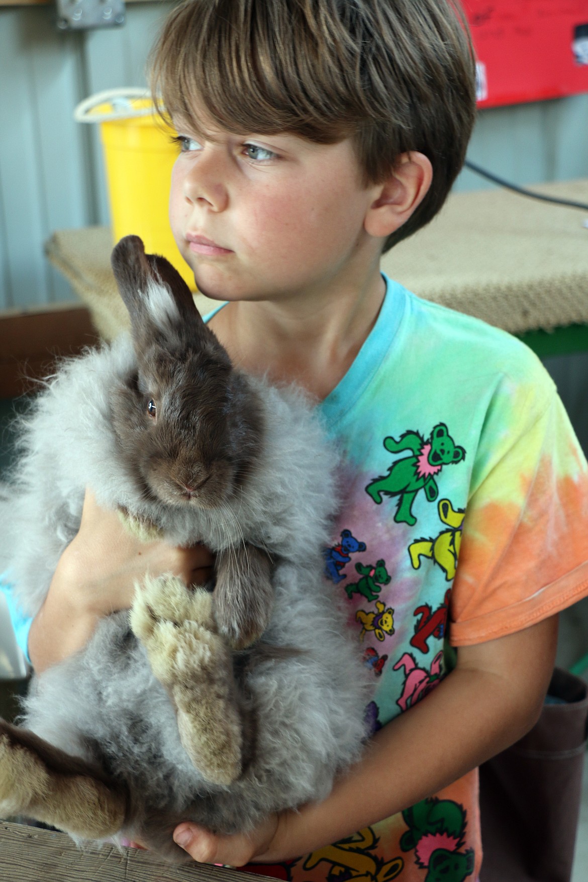 A youngster holds a rabbit at the Bonner County Fair on Wednesday.