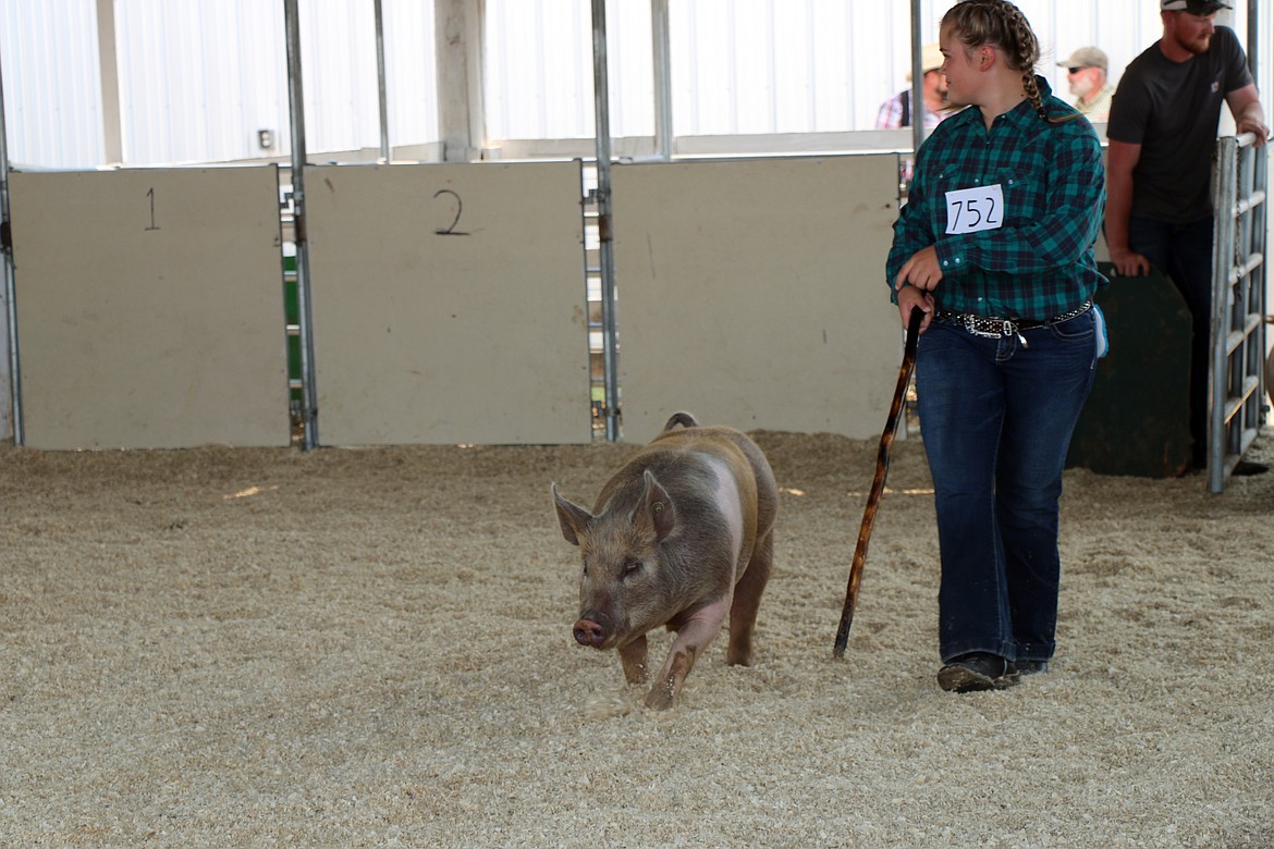 (Photo by CAROLINE LOBSINGER)Mayle Ducken shows her pig at the Bonner County Fair.