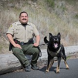 K-9 deputy helps nab assault suspect