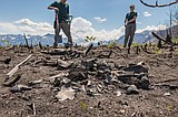 From the ashes, new archaeological discoveries in Waterton