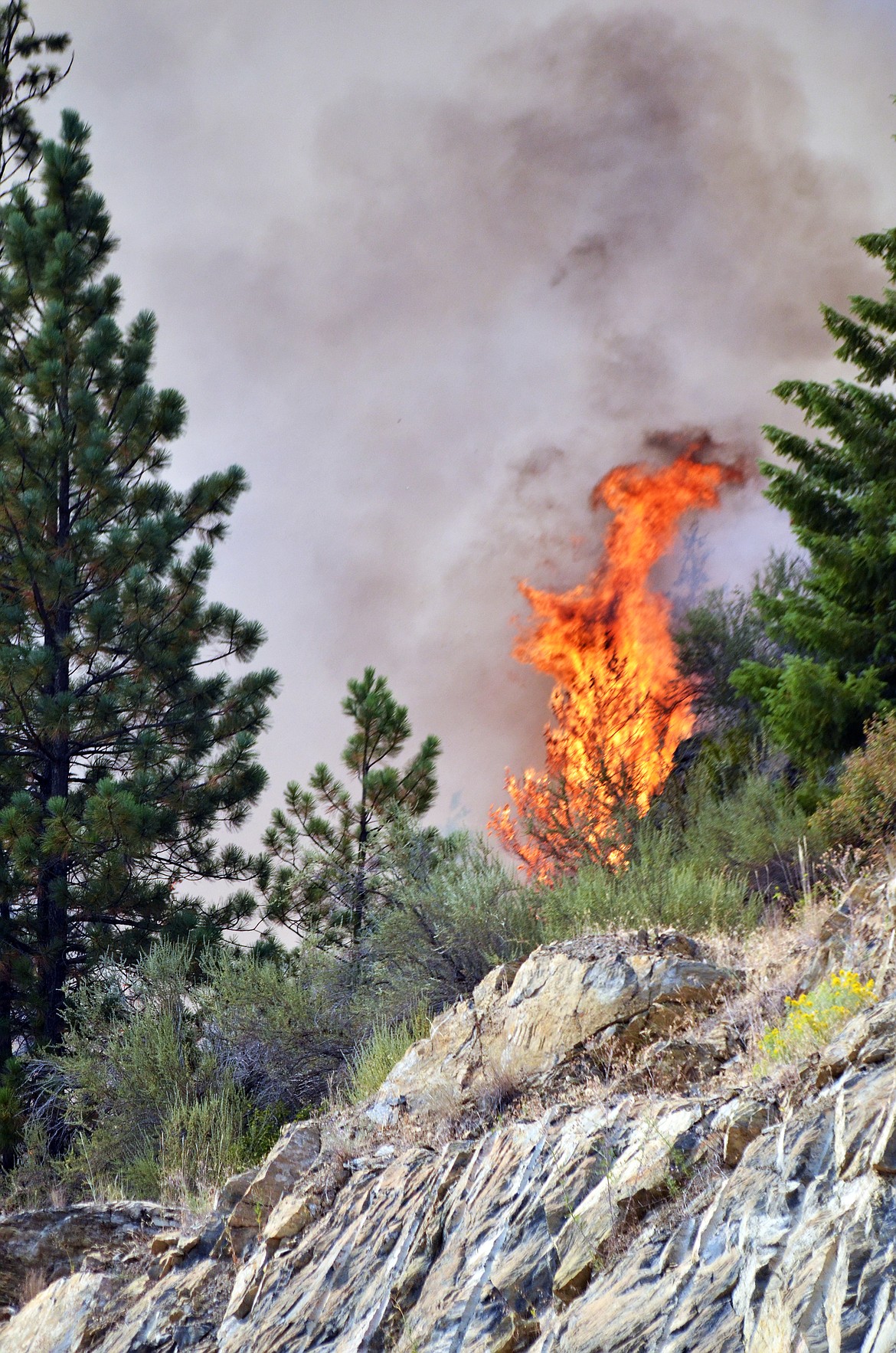 Low winds helped firefighters get around the fire to put perimeters in place, though dry conditions made for optimal burning conditions. (Erin Jusseaume/Clark Fork Valley Press)