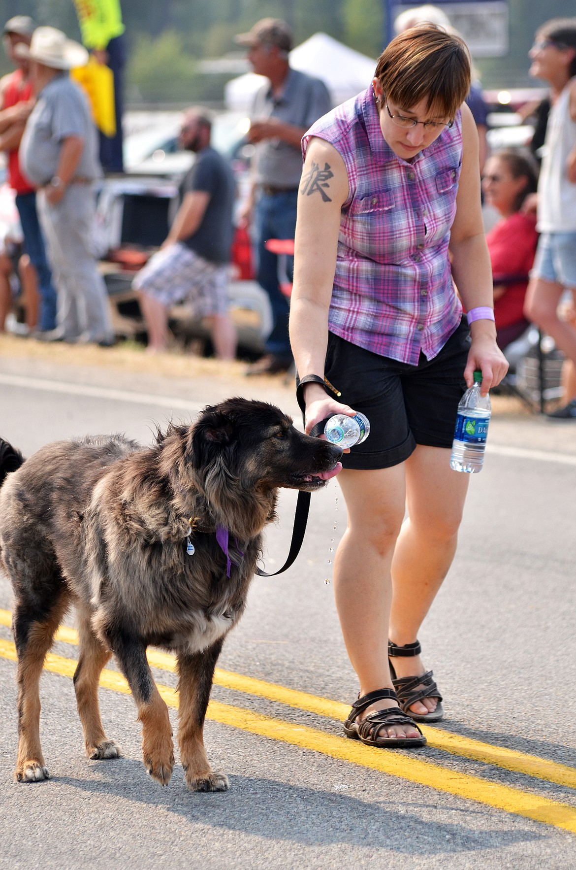 It&#146;s a tough walk in the heat, and this pup had to get a quick drink as they walked through the parade. (Erin Jusseaume/ Clark Fork Valley Press)