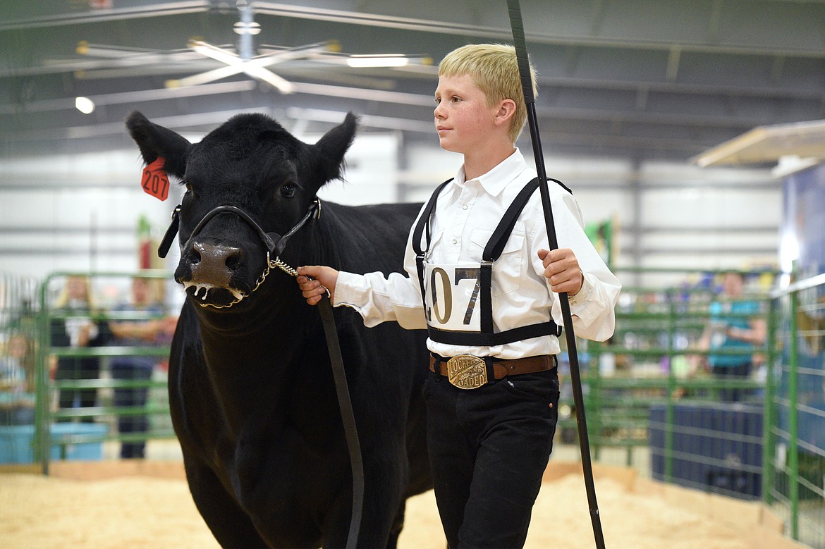 Sam Plummer, 12, shows his steer during the beef showmanship and market judging at the Northwest Montana Fair on Tuesday, Aug. 14. (Casey Kreider/Daily Inter Lake)