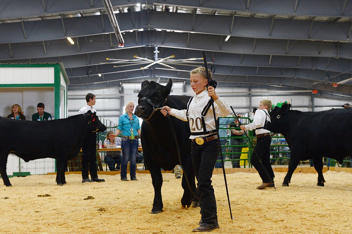 Ione Plummer, 10, shows her steer during the beef showmanship judging at the Northwest Montana Fair on Tuesday, Aug. 14. (Casey Kreider/Daily Inter Lake)