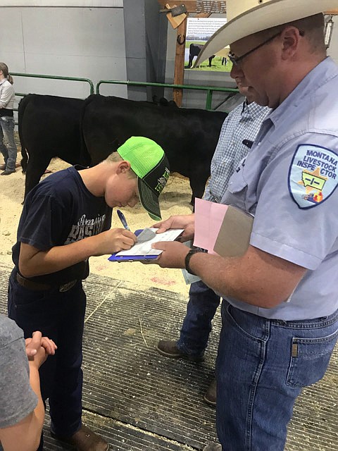 Montana Livestock Inspector Wes Seward has Sam Plummer sign a bill of sale for her market steer. (Hilary Matheson/Daily Inter Lake)