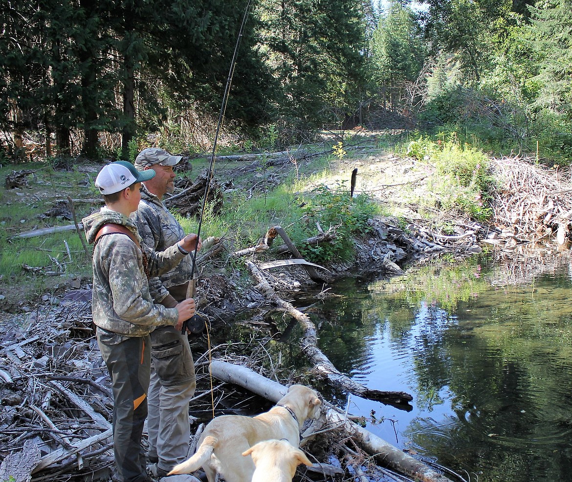 Superior resident Steve Plakke teaches his 13-year-old son Orion how to fly fish on Cedar Creek last Friday. Orion pulls up a cutthroat trout from a pool created by a habitat improvement project facilitated by Trout Unlimited and the U.S. Forest Service. (Kathleen Woodford/Mineral Independent)