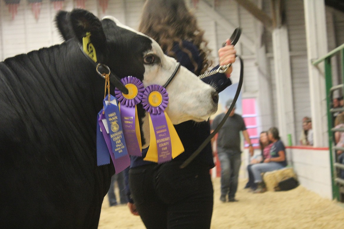 Photo by TANNA YEOUMANS
Sydney Nelson got several awards for him.