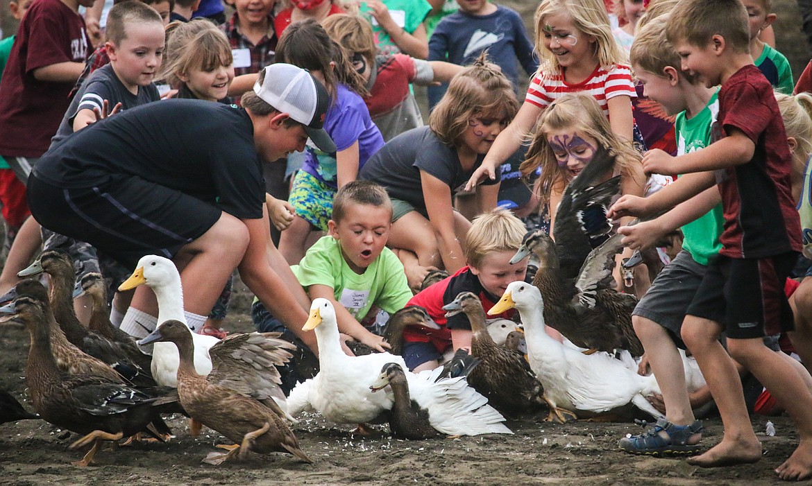 Photo by MANDI BATEMAN
As the Duck Scramble began during Family Fun Night, the children descended on the flock.