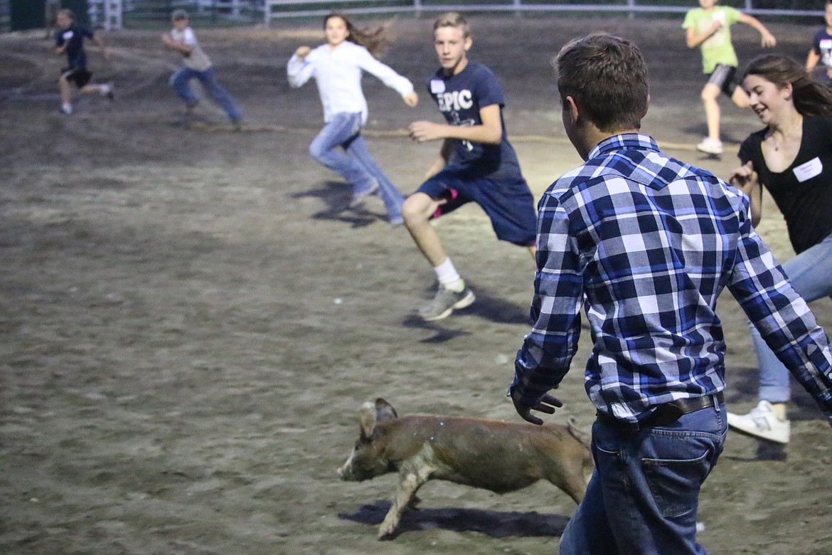 Photo by MANDI BATEMAN
The greased piglet made a grand escape his first time out.