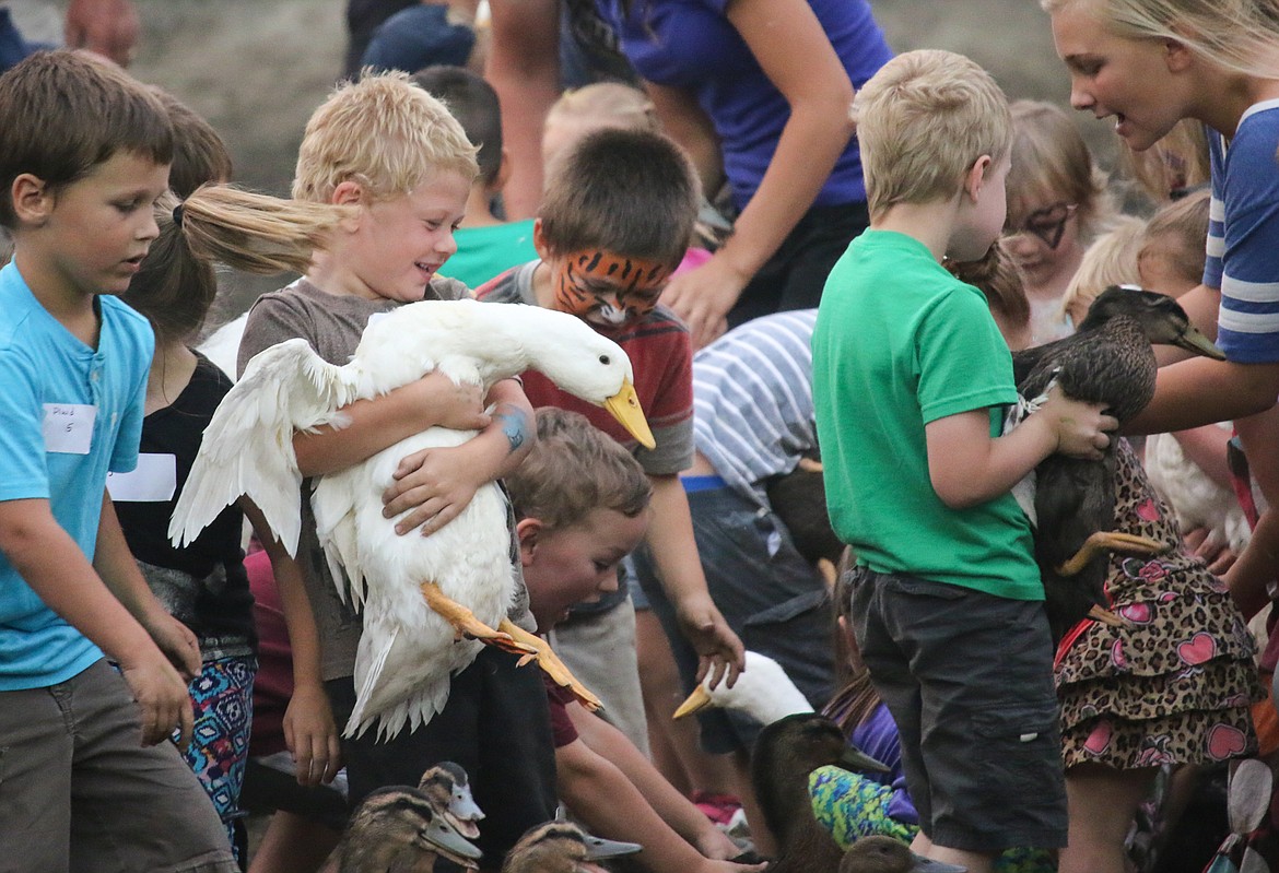 Photo by MANDI BATEMAN
Competitors got to take home the ducks that they caught.