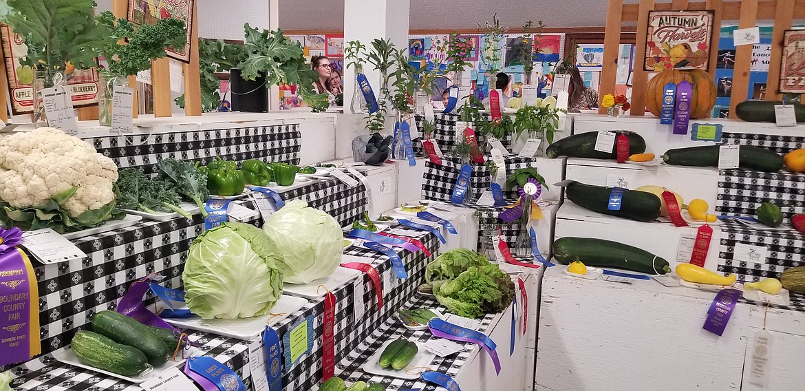 Photo by MANDI BATEMAN
Fresh produce proudly displayed at the Boundary County Fair.