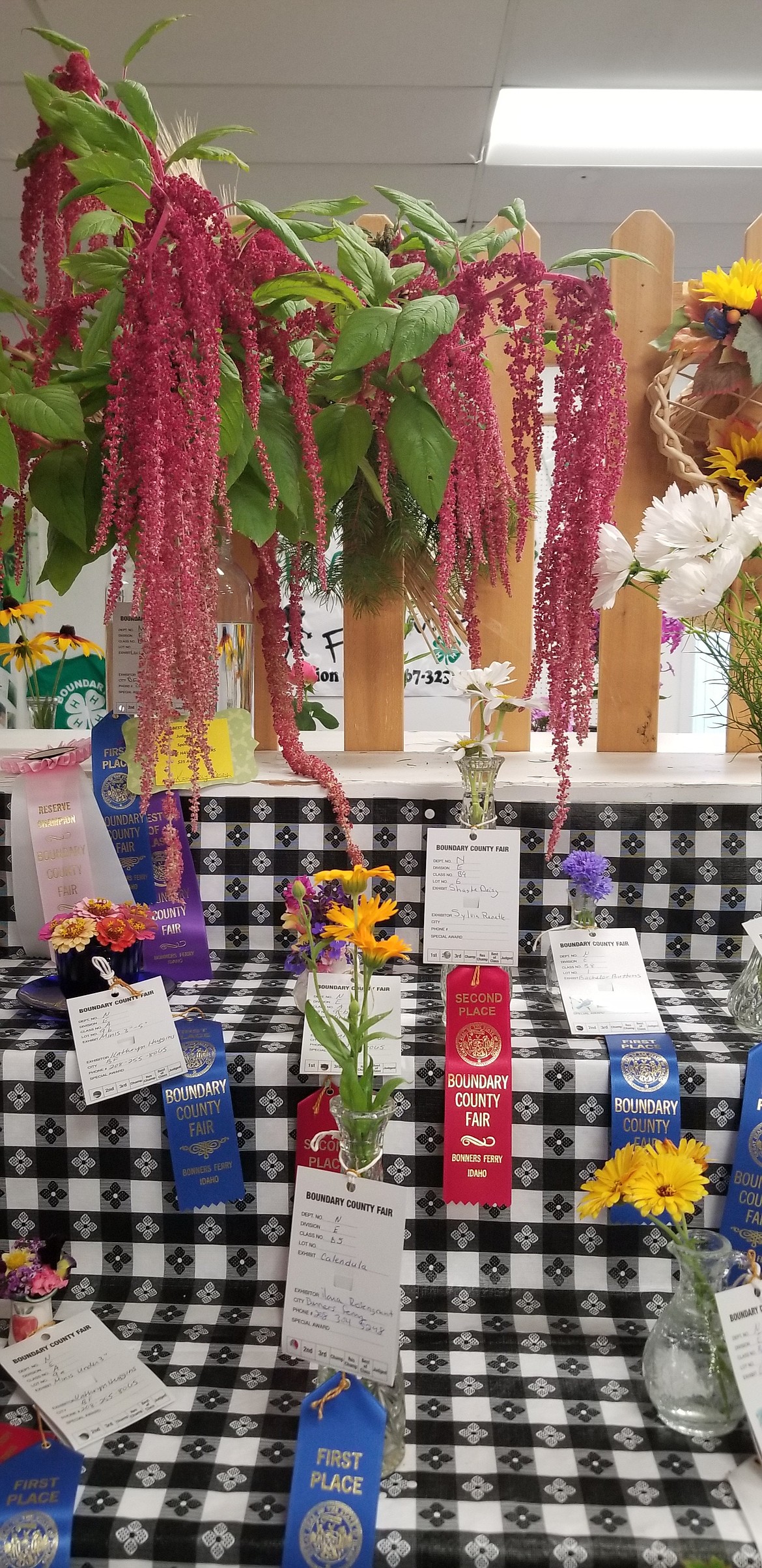 Photo by MANDI BATEMAN
Fresh flowers, from local gardens, competing at the Boundary County Fair.