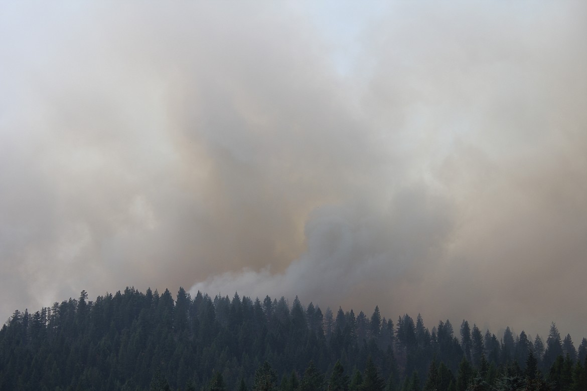 Photo by TANNA YEOUMANS
The fire by Fleming Creek Rd. and Holmes Rd. is speading quickly.