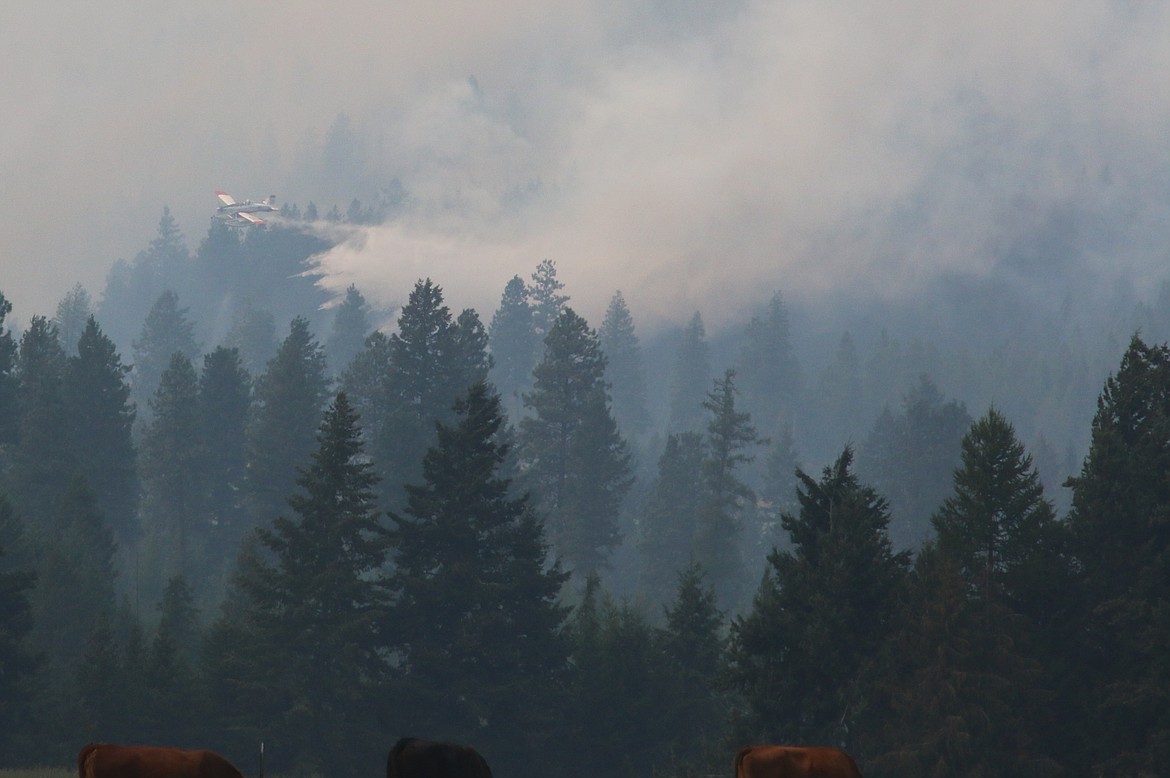 Photo by MANDI BATEMAN
Plane battling through the thick smoke to fight the fire.