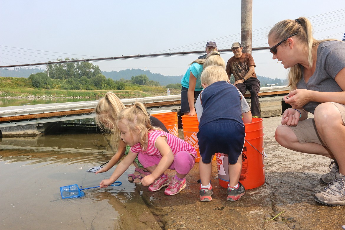 Photo by MANDI BATEMAN
Having hands on opportunity to release the baby Burbot helps educate the younger generation.