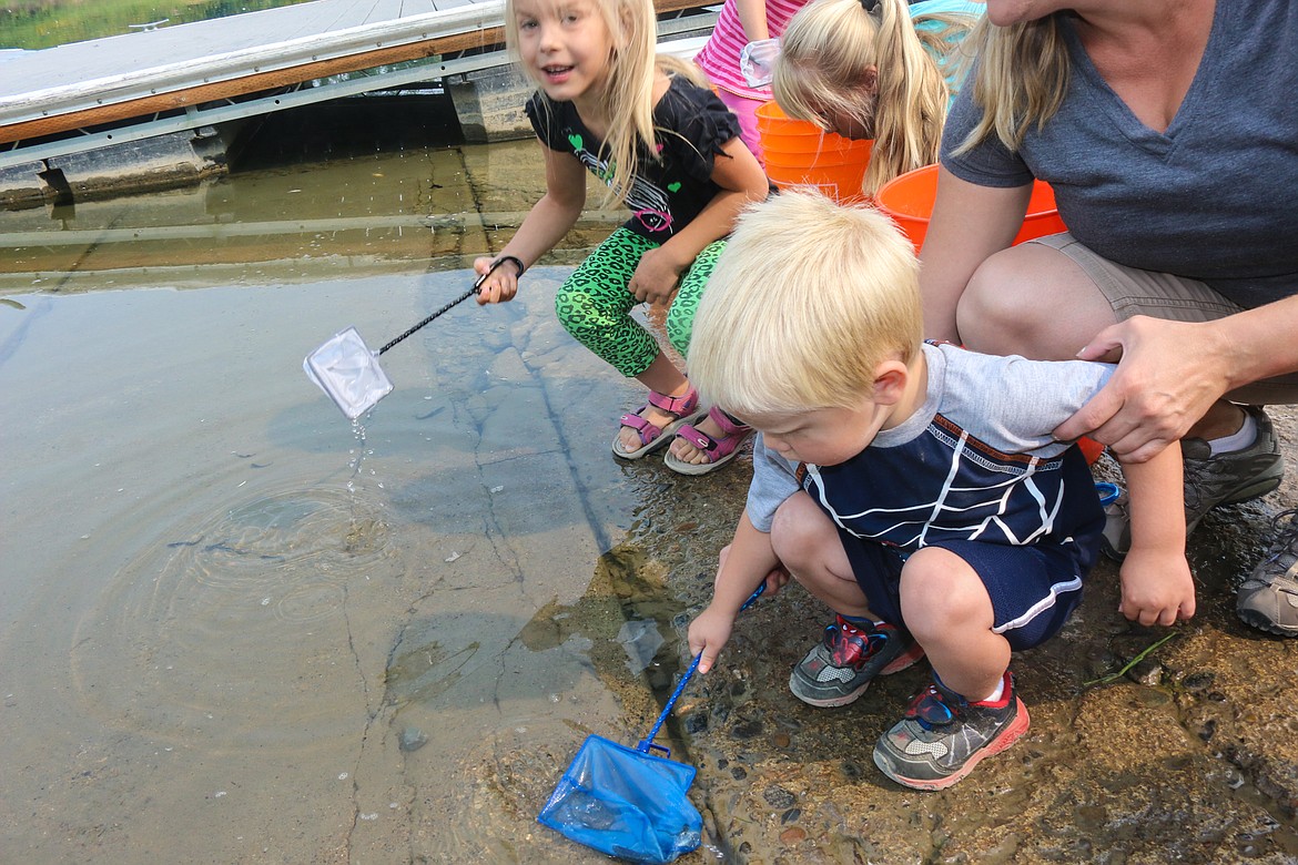 Photo by MANDI BATEMAN
Two year old Silas Sartell releases Burbot with help from his mother, April Sartell.