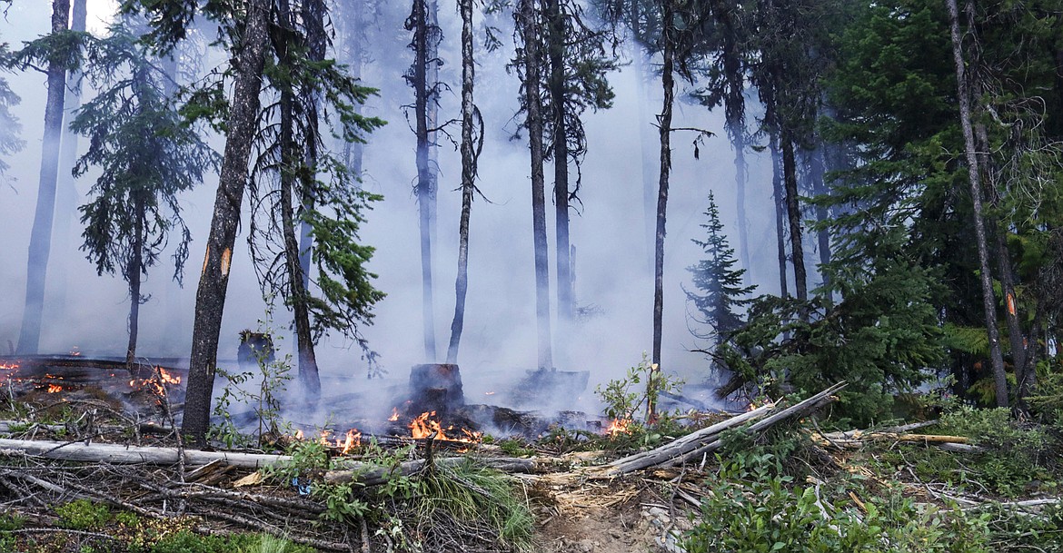 This photograph of the Gold Hill fire was provided earlier in the week. (Courtesy U.S. Forest Service/Kootenai National Forest)