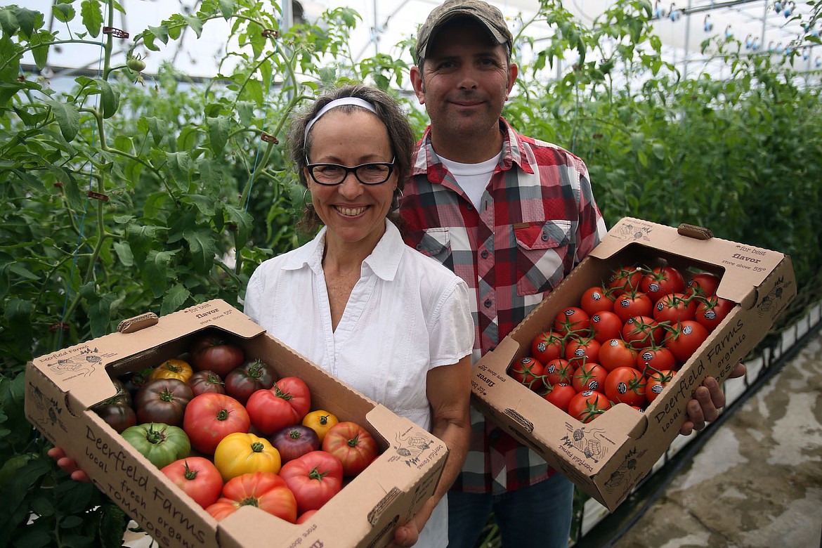 (Photo by JUDD WILSON/Hagadone News Network)
Jerry and Susan Petrina display a few of the organic tomatoes they grow at Deerfield Farms in Sagle. Their produce is available at farmers markets and restaurants in North Idaho and Spokane.