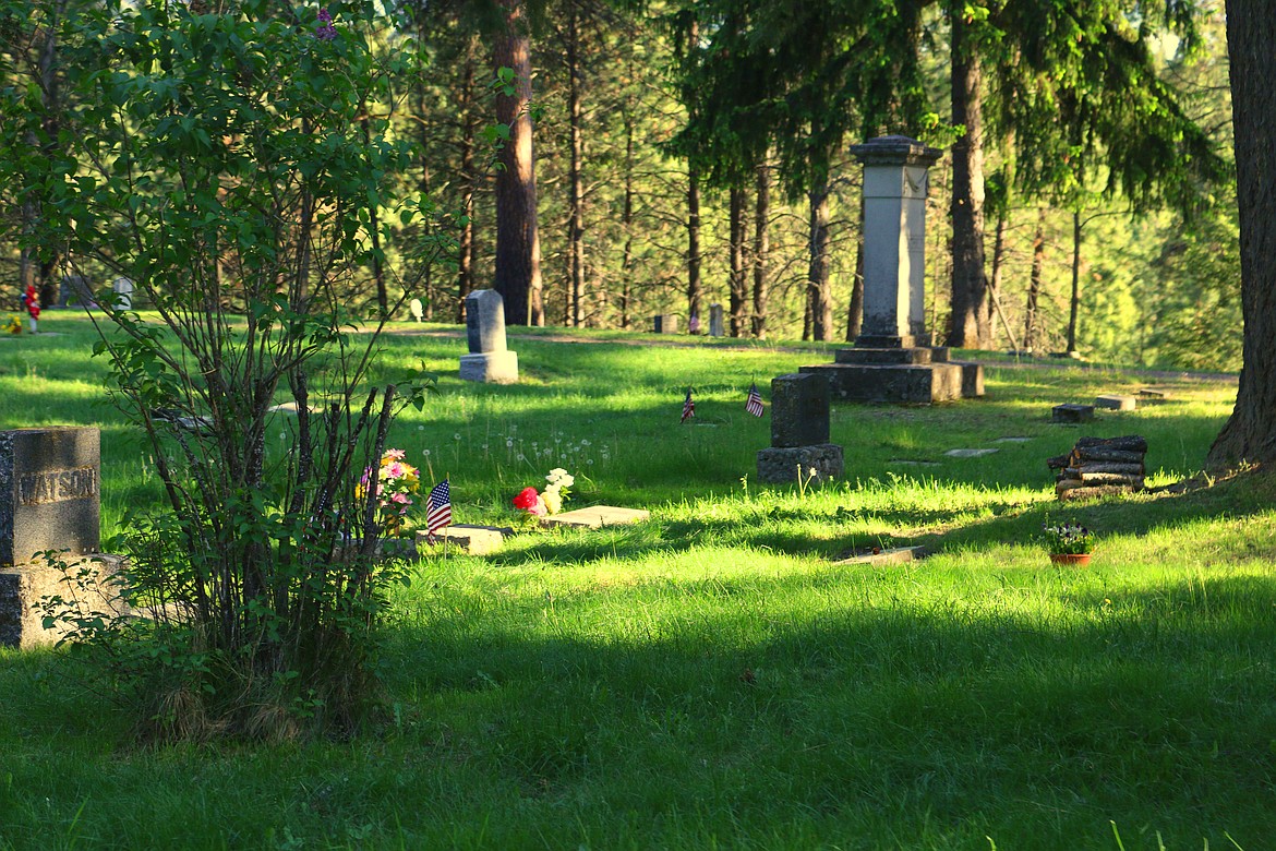 Photo by MANDI BATEMAN
BEFORE: The same view, this time with green grass.