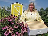 Backyard Beekeepers
