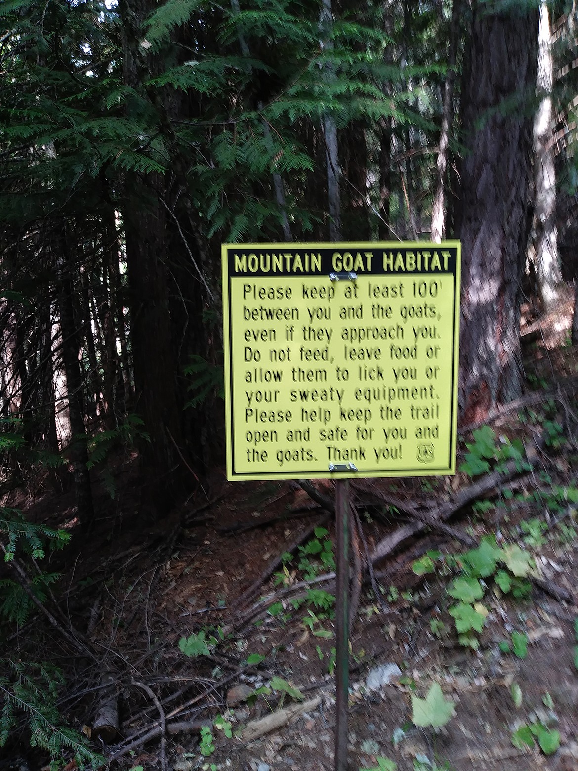 (Courtesy photo)
A new Forest Service sign greets Scotchman Peaks hikers low on the trail, reminding people to keep their distance from the mountain goats they may encounter higher on the mountain.