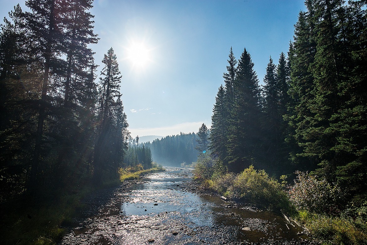 The &#147;Emerald Triangle&#148; a wedge of land between Howe Lake and Camas Creek, was largely unscathed by the Howe Ridge Fire. It also survived the 2001 Moose Fire and the 2003 Robert Fire.