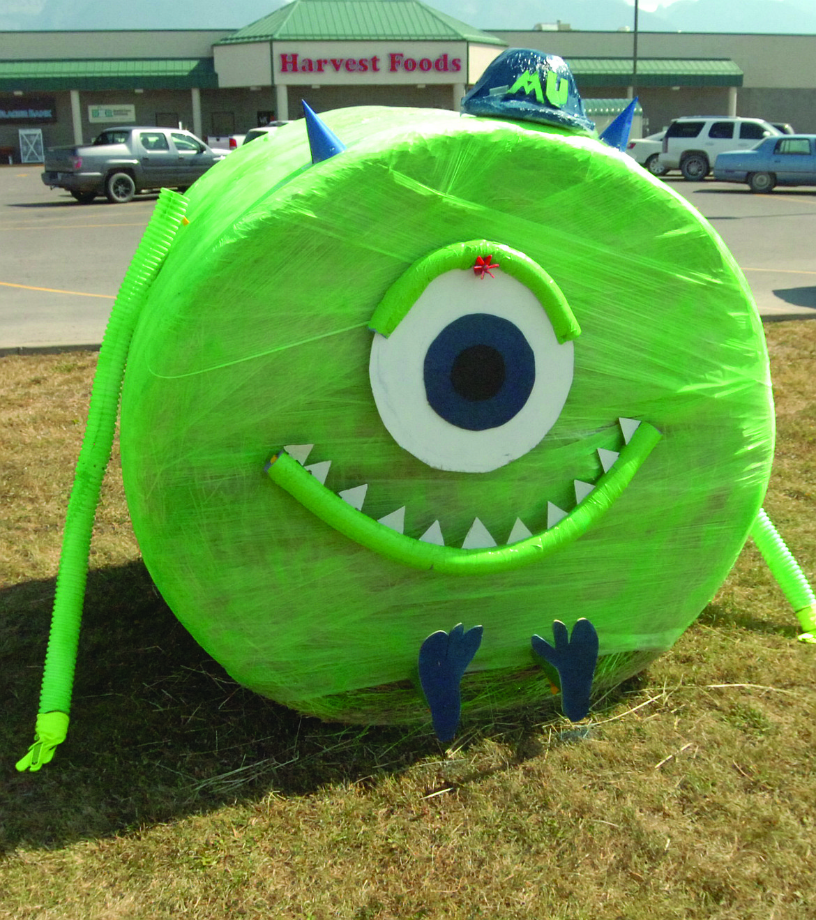 This creature has his eye on traffic at the Harvest Foods store in Ronan as part of the Harvest Fest Trail of Bales.