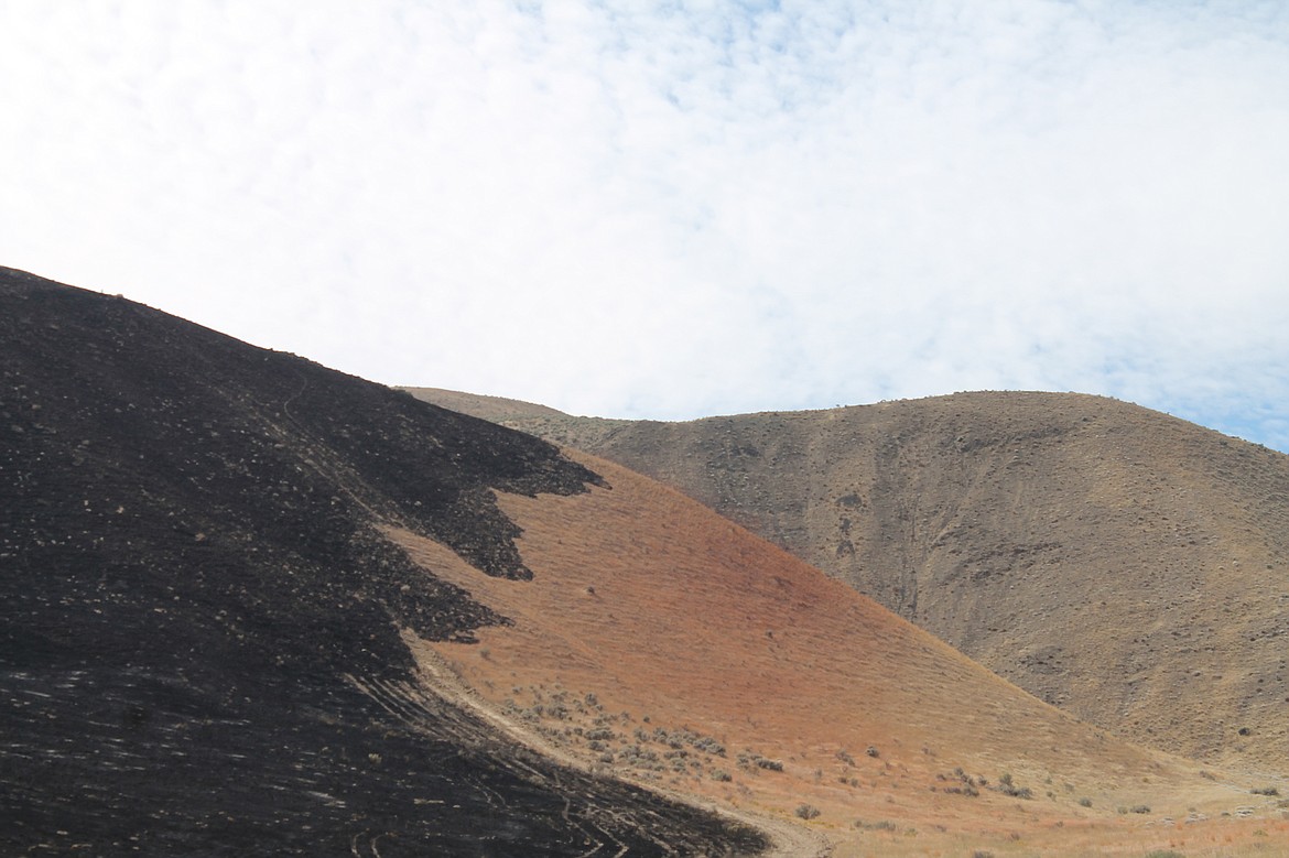 Emry Dinman
What looks like rust or a blood stain is where a fire bomber plane dumped load after load of fire retardant on the fire&#146;s western edge, stopping the blaze from progressing toward Royal City residents.