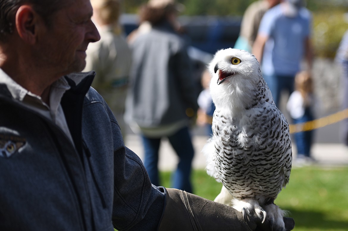 Bob Watne, of Montana Wild Wings, holds Teka, a snowy owl, at the Birds of Prey Festival at Lone Pine State Park on Saturday. (Casey Kreider/Daily Inter Lake)