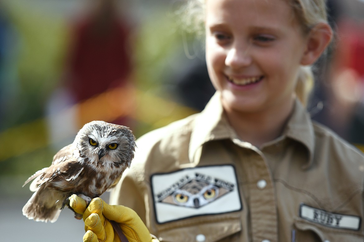 Ruby Hadley, of Montana Wild Wings, holds Olive, a saw-whet owl.