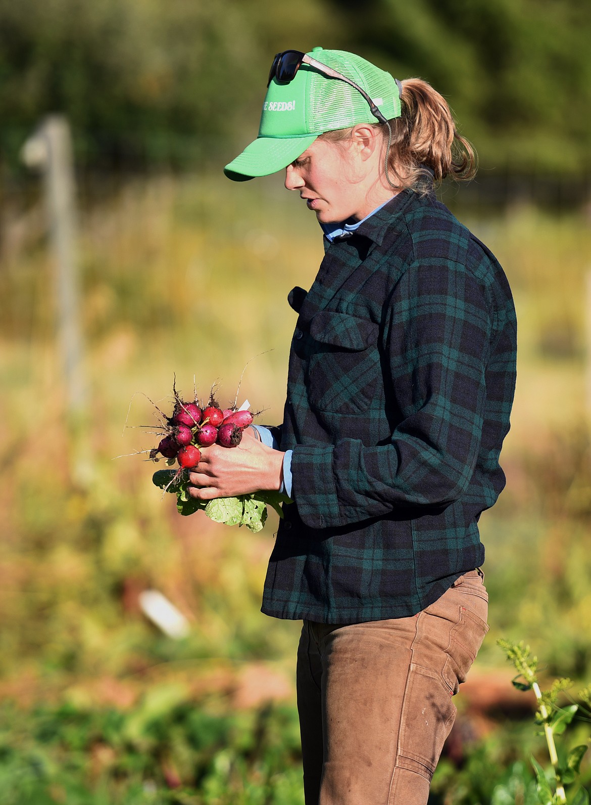 Whitney Pratt of Purple Frog Gardens harvests a bunch of radishes.