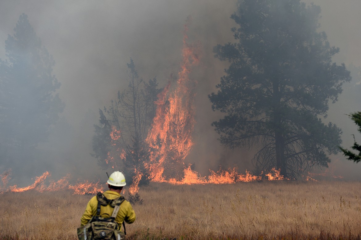 A Forest Service firefighter radios from the scene of a fire in a field off Foys Lake Road in Kalispell on Tuesday. (Casey Kreider/Daily Inter Lake)