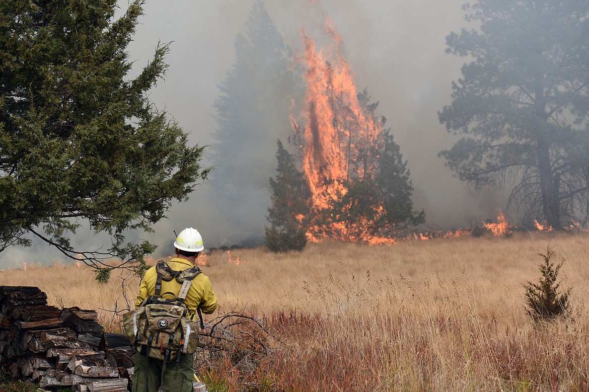 A firefighter watches a fire in a field from an adjoining back yard off Foys Lake Road in Kalispell on Tuesday. (Casey Kreider/Daily Inter Lake)