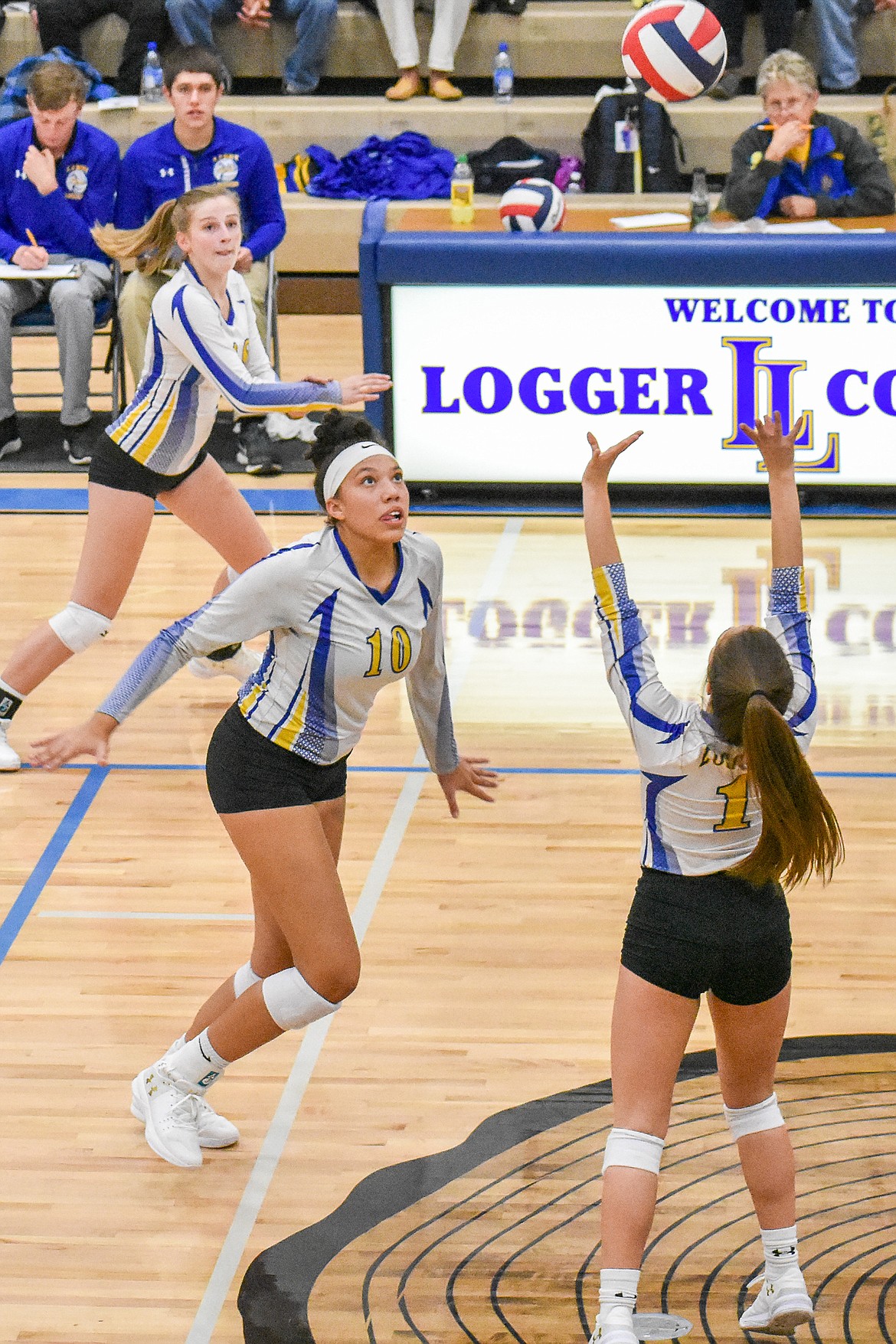 With an assist from senior setter Alli Collins, senior Mehki Sykes goes to attack during the first set of the Lady Loggers&#146; homecoming match against Browning Saturday. (Ben Kibbey/The Western News)