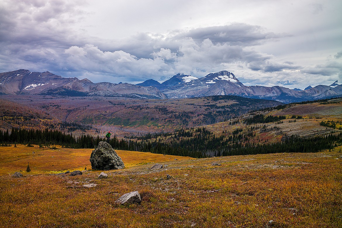 A rock with a view, Fifty Mountain, Glacier National Park.