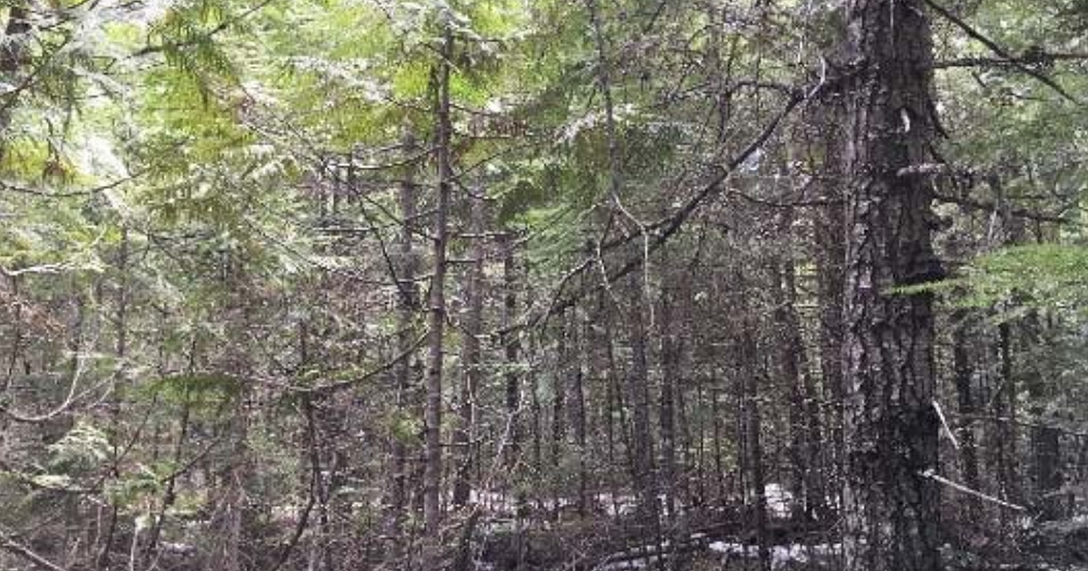 Federal court halts Panhandle's Hanna Flats project Bonner County