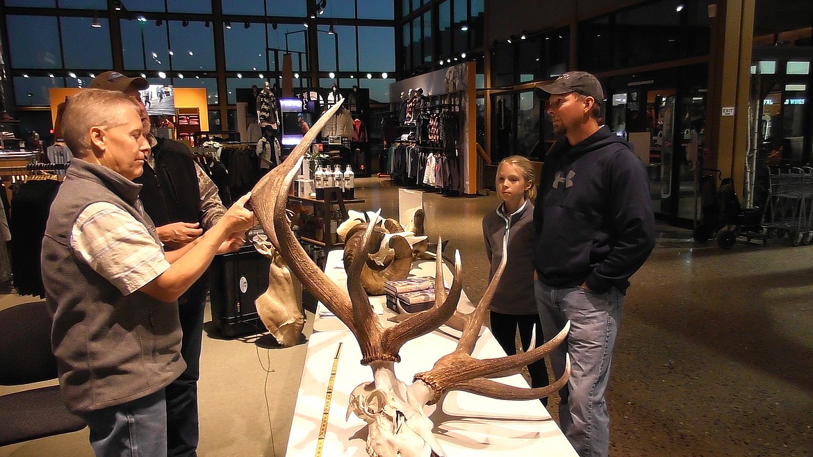 Odin Warriner and his 9-year-old daughter, Olivia, watch as Montana Fish, Wildlife and Parks Region 1 Supervisor Jim Williams and Flathead Wildlife member Chuck Hunt measure the antlers of a 7x7 bull elk that Odin killed Labor Day in the Missouri River Breaks region in northeastern Montana. (Scott Shindledecker/Daily Inter Lake)