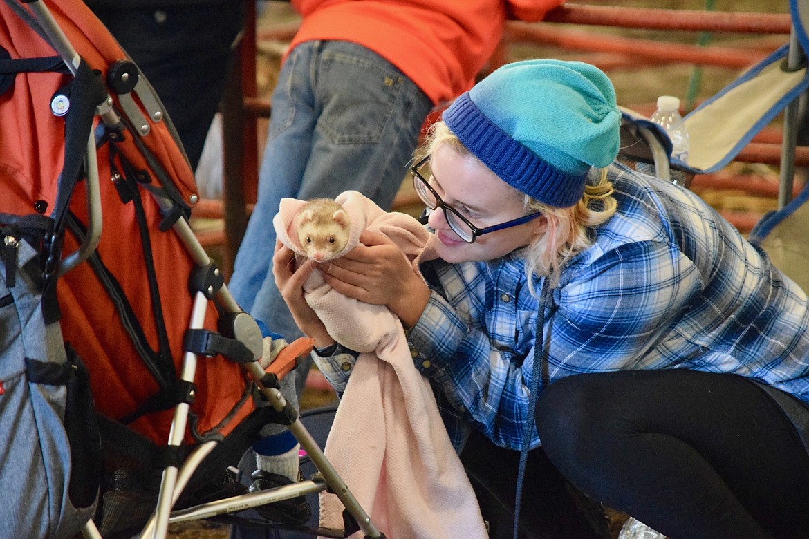 Charles H. Featherstone/Columbia Basin Herald
Kaya Zickler, 18, shows off her per ferret Panda to a toddler during Farm Day at the Grant County Fairgrounds on Wednesday.