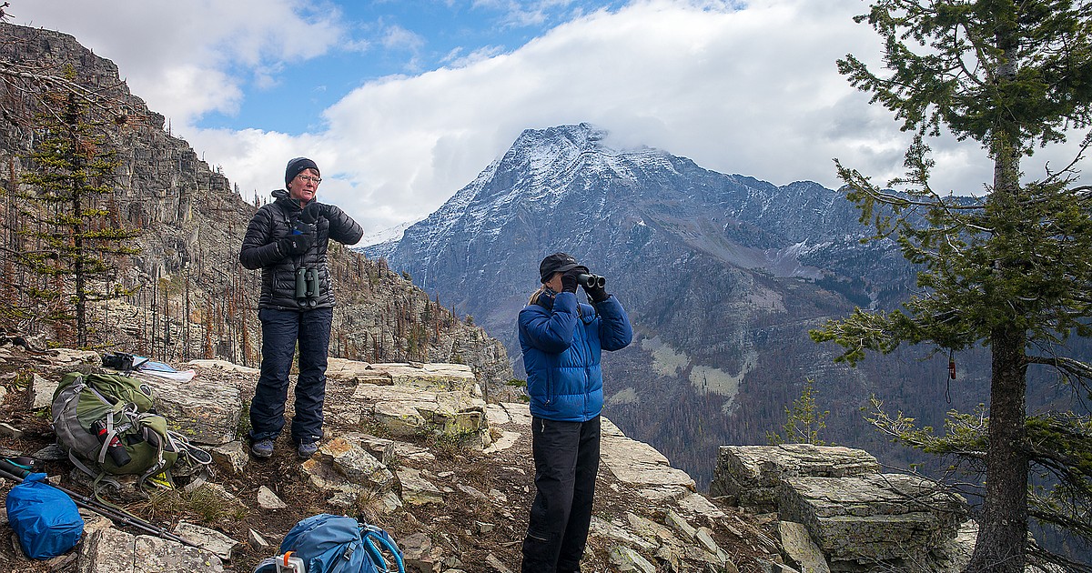 Glacier will hold Hawk Watch training sessions