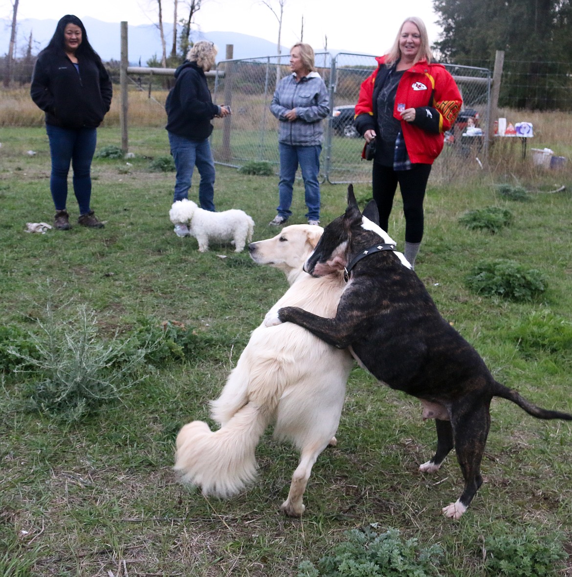 Photo by MANDI BATEMAN
With a dog trainer on hand, owners learned what behaviors were acceptable and what behaviors to discourage.