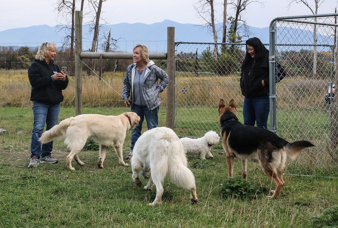 Photo by MANDI BATEMAN
Dog trainer Karen Schumacher, Deborah Griffin, and Judy Chen with the pack of dogs.