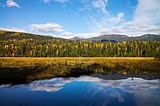 Project to preserve timberland, meadows and lakes on Stillwater Forest completed