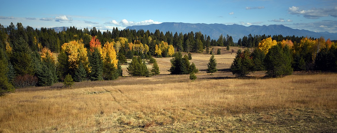 The view from the home of Jake Christiansen and Yvonne May's porch at their home in Whitefish.(Brenda Ahearn/Daily Inter Lake)