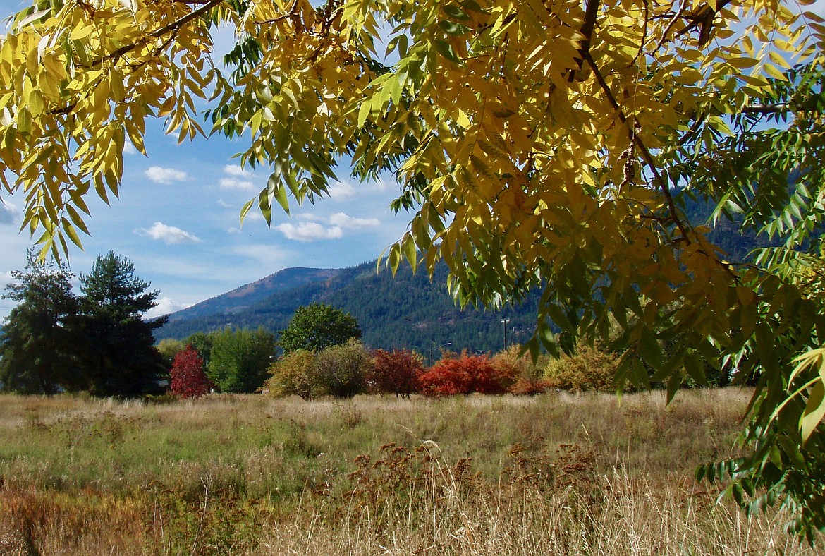 (Photo courtesy MARGIE CORCORAN)
Margie Corcoran took this Best Shot of a fall day at University of Idaho Extension Property on Boyer. &#147;Lovely day for a walk,&#148; she wrote in submitting the photo via email.