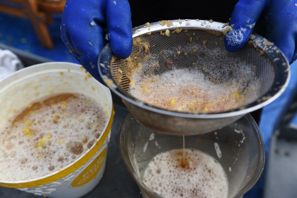 Brook Peterson strains the unpasteurized apple cider before it is poured into containers.