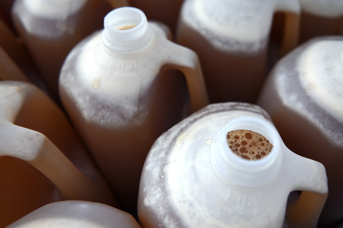 Unpasteurized cider is poured into one-gallon containers for sale at Apple Barrel Country Market.