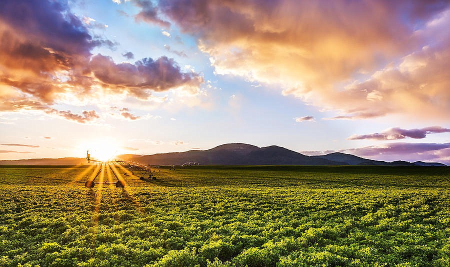 Photo by DEREK HALLER
The Rathdrum Prairie sits over one of the world&#146;s purest and best aquifers.