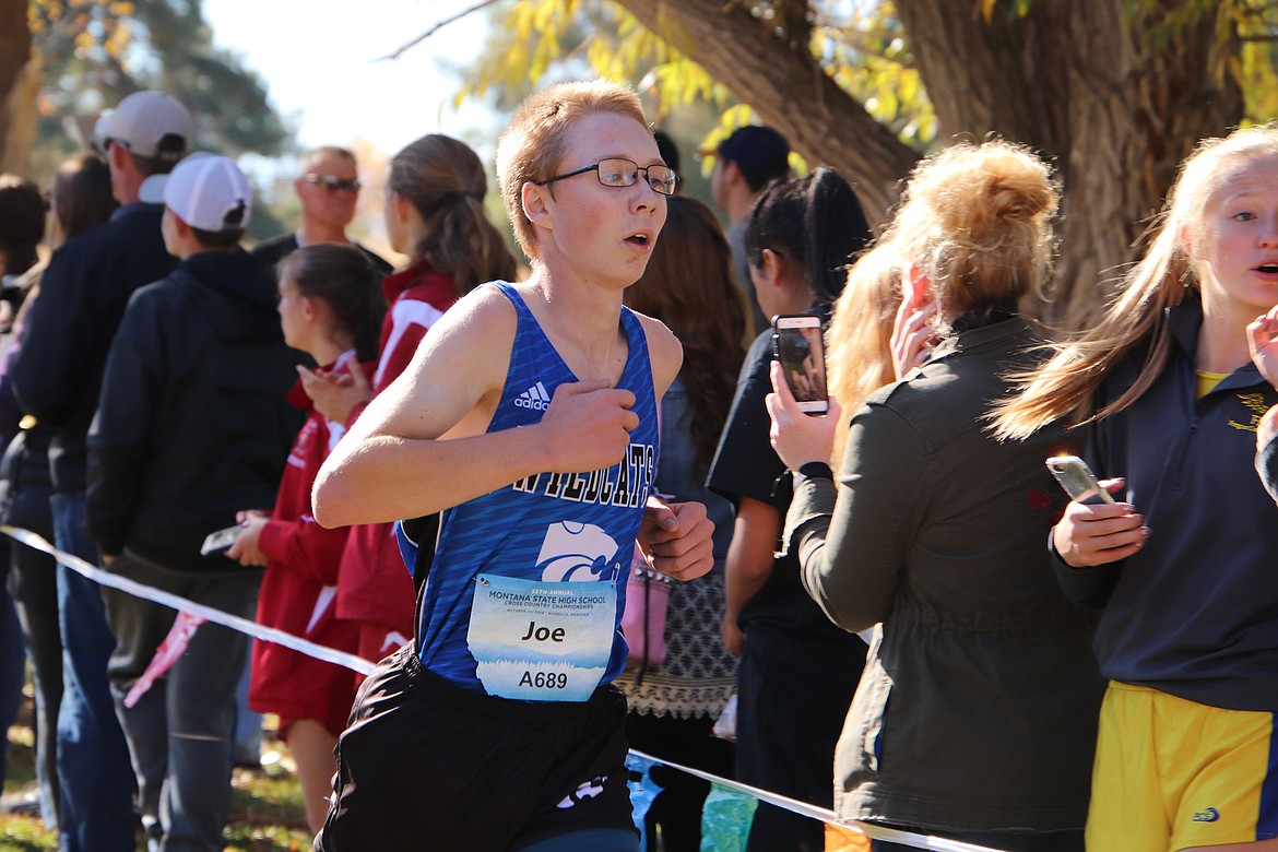 Joe Lamb makes his way towards the finish line in Missoula Saturday. Lamb finished third as the Wildcats earned their second-ever state cross country title. (photo provided)