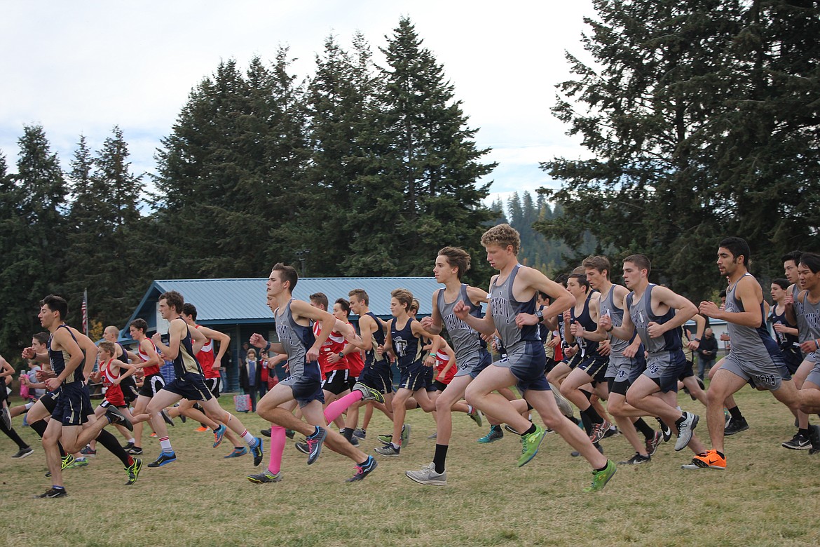 Photo by TANNA YEOUMANS
The Badger boys get off to a quick start at the 3A District Meet , Oct. 18 at Bonners Ferry. The boys team finished third to qualify for this weekend&#146;s state meet in Lewiston.